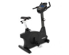 UPRIGHT BIKE